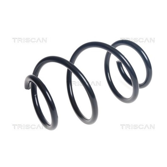 8750 11232 - Coil Spring 