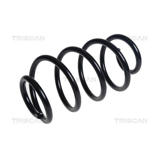 8750 16132 - Coil Spring 