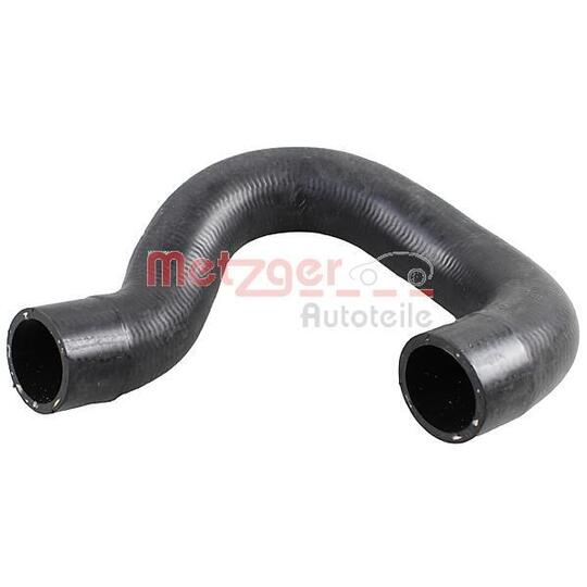 2420962 - Radiator Hose 