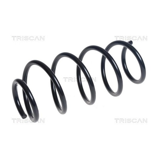 8750 50110 - Coil Spring 