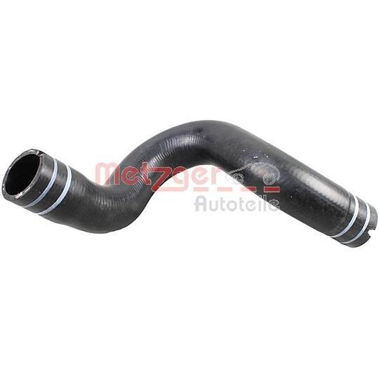 2420980 - Radiator Hose 