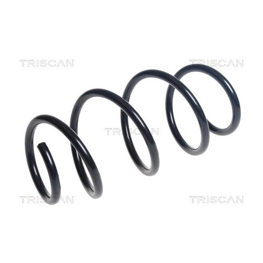 8750 29537 - Coil Spring 