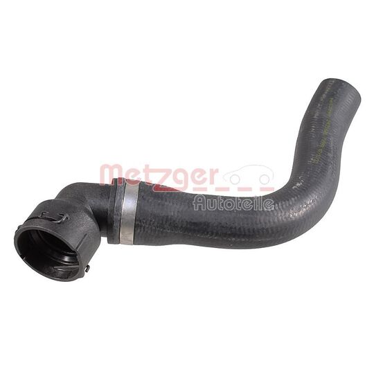 2421606 - Radiator Hose 