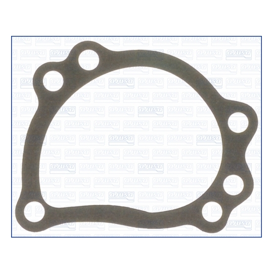 00000700 - Gasket, water pump 