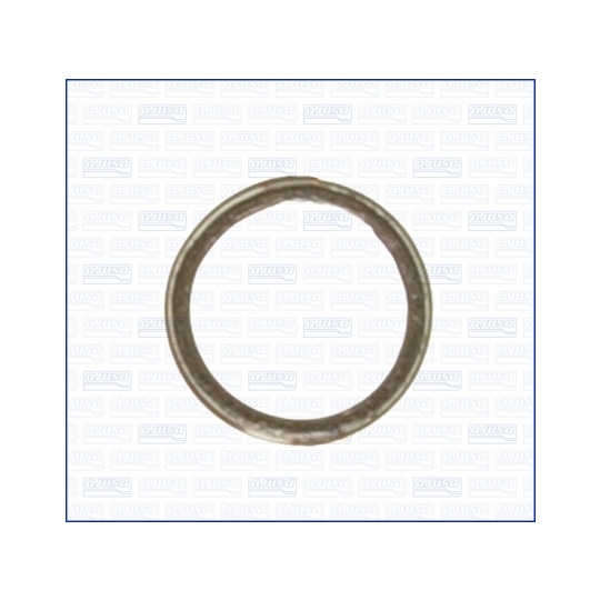 19000100 - Gasket, exhaust pipe 