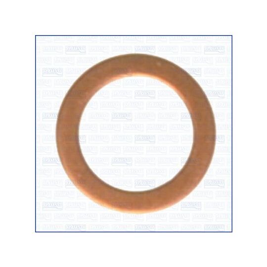 21013100 - Seal Ring, oil drain plug 