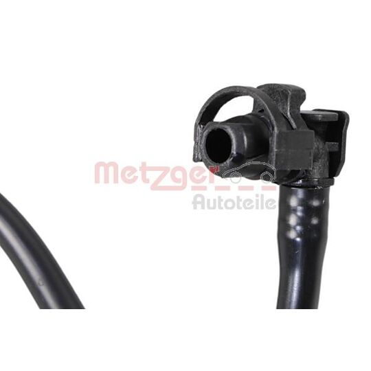 2421254 - Radiator Hose 