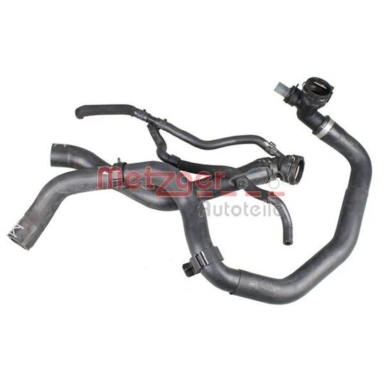 2420879 - Radiator Hose 