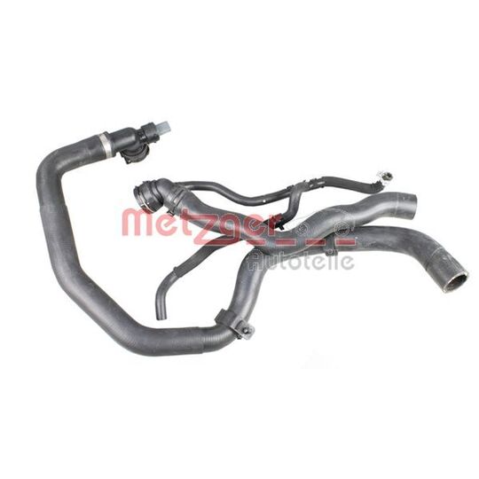 2420879 - Radiator Hose 