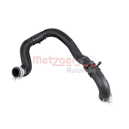 2421166 - Radiator Hose 