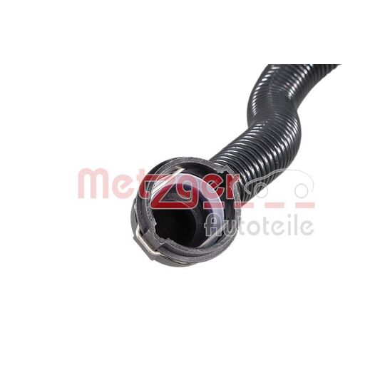 2421521 - Radiator Hose 