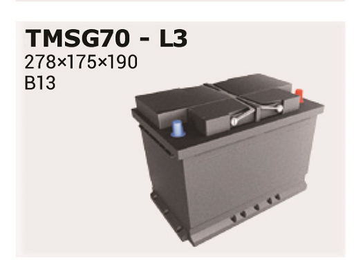 IPSA TMSG70