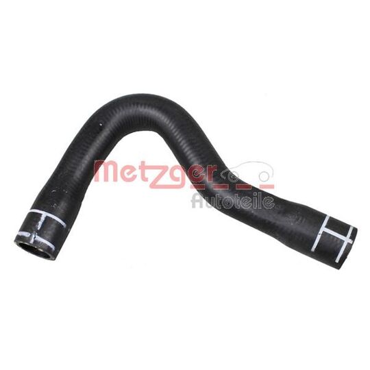 2420894 - Radiator Hose 