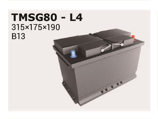 IPSA TMSG80