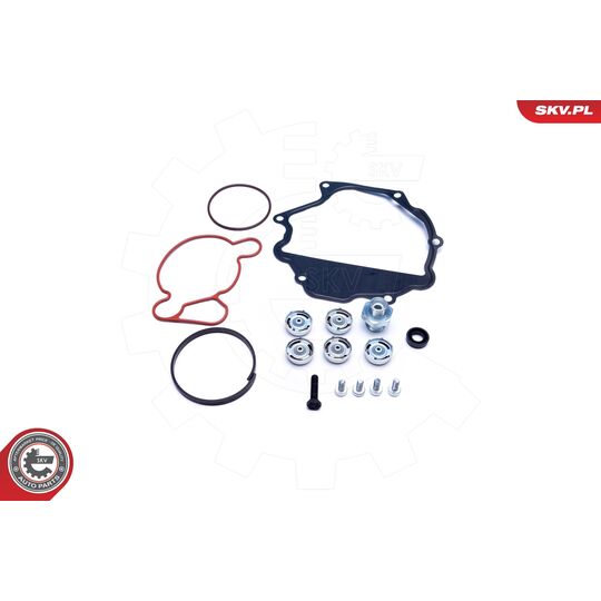 18SKV809 - Repair Set, vacuum pump (braking system) 