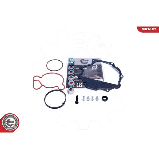 18SKV809 - Repair Set, vacuum pump (braking system) 