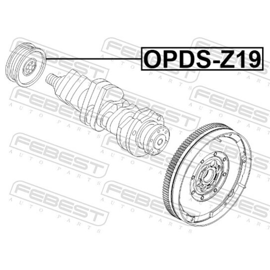 OPDS-Z19 - Belt Pulley, crankshaft 