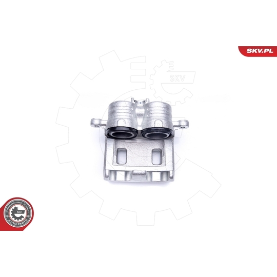 42SKV442 - Brake Caliper 