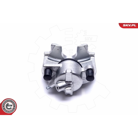 55SKV542 - Brake Caliper 