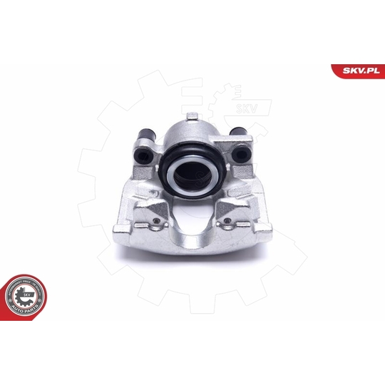 55SKV542 - Brake Caliper 