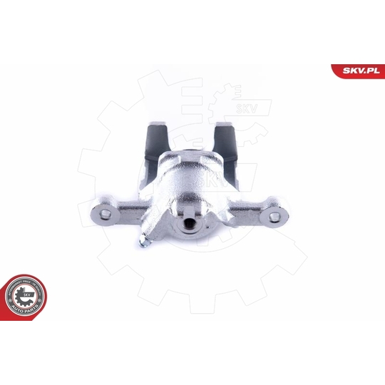 55SKV083 - Brake Caliper 