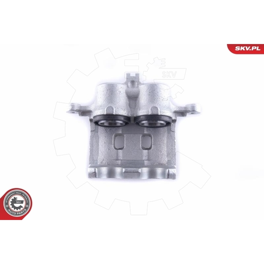 50SKV811 - Brake Caliper 