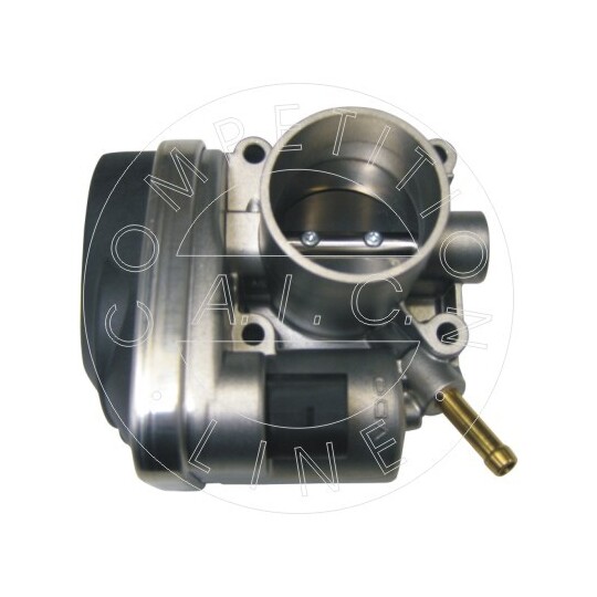 52885 - Throttle Body 