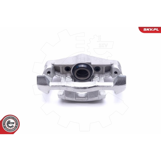 55SKV831 - Brake Caliper 