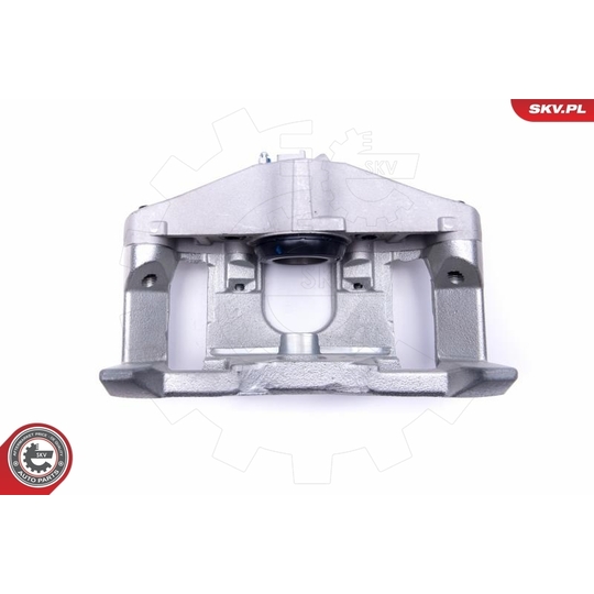 55SKV831 - Brake Caliper 