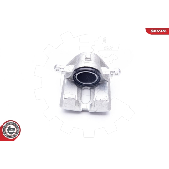 34SKV842 - Brake Caliper 