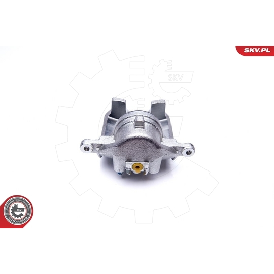 34SKV842 - Brake Caliper 