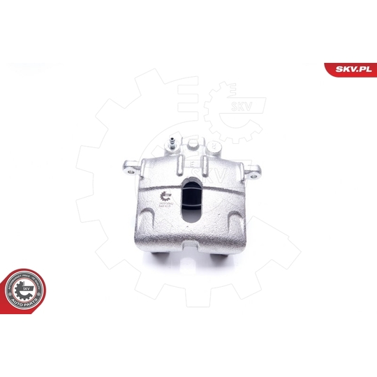 34SKV842 - Brake Caliper 