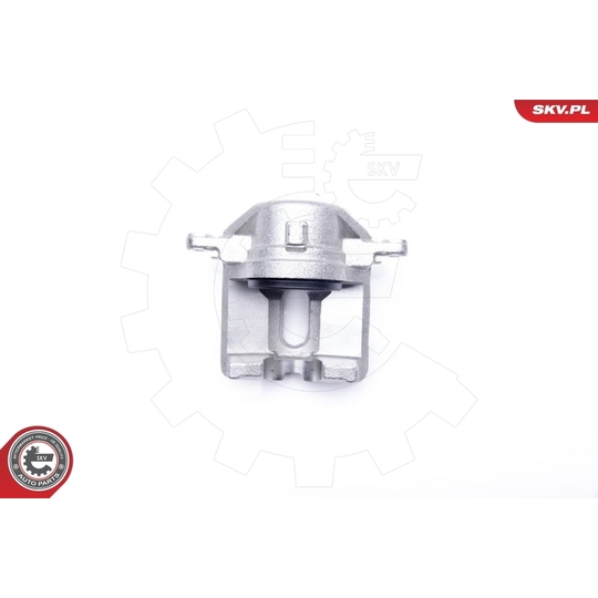 34SKV842 - Brake Caliper 