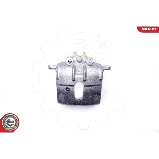 34SKV842 - Brake Caliper 