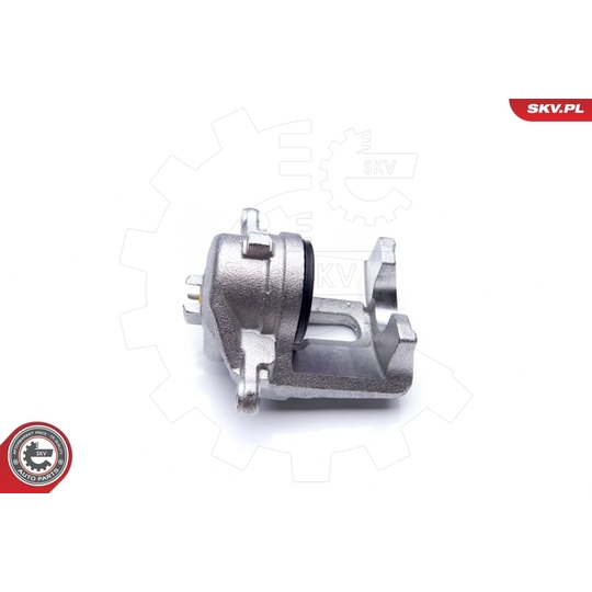 34SKV842 - Brake Caliper 