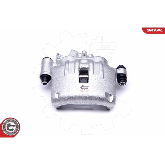 46SKV543 - Brake Caliper 