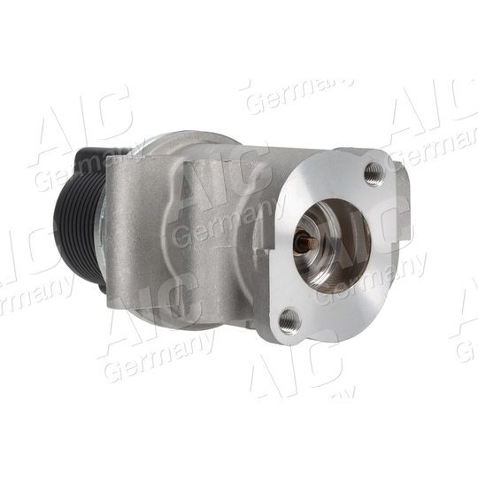 55898 - EGR Valve 