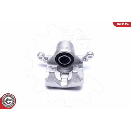 55SKV553 - Brake Caliper 