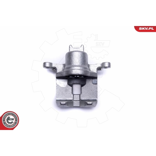 55SKV553 - Brake Caliper 