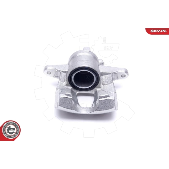 56SKV302 - Brake Caliper 