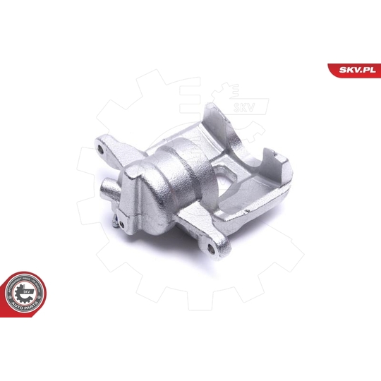 56SKV302 - Brake Caliper 