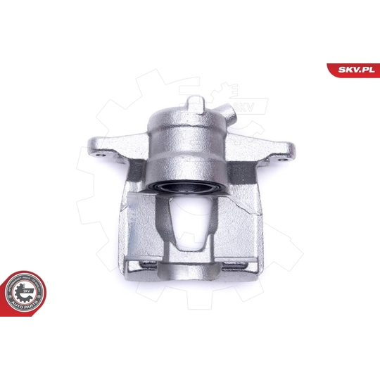 56SKV302 - Brake Caliper 