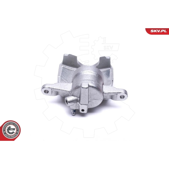 56SKV302 - Brake Caliper 