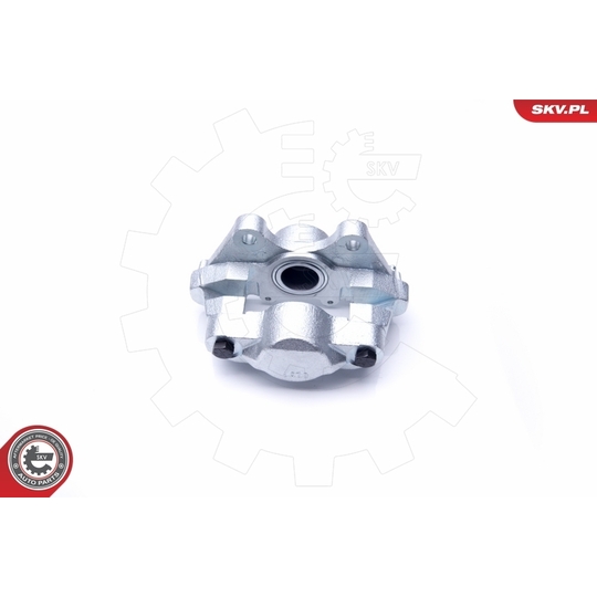 34SKV913 - Brake Caliper 