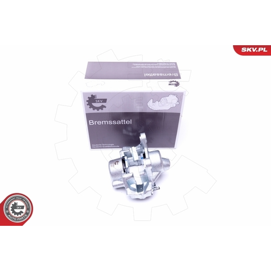 45SKV493 - Brake Caliper 