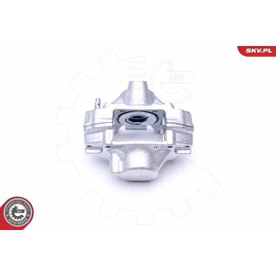 45SKV493 - Brake Caliper 