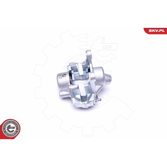 45SKV493 - Brake Caliper 