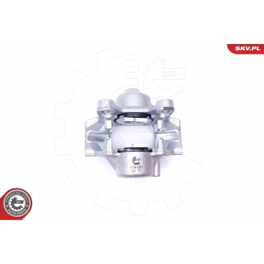 45SKV493 - Brake Caliper 