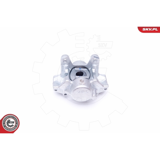 45SKV493 - Brake Caliper 