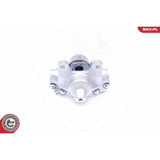 45SKV493 - Brake Caliper 